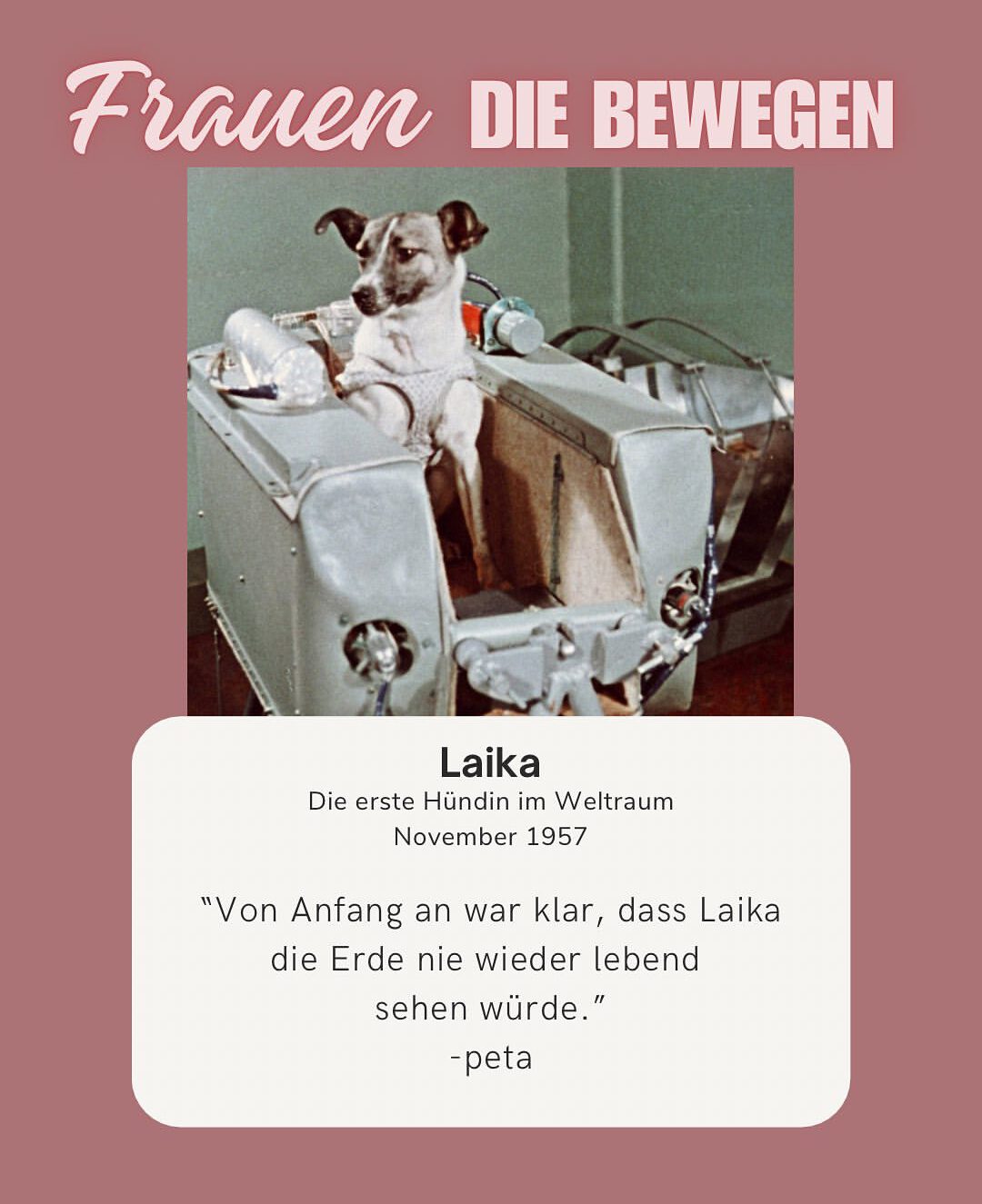 Die Geschichte von Laika lässt uns sprachlos zurück